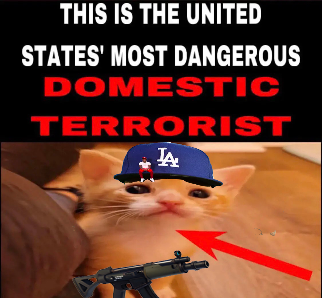 Dababyfortnitecat the most dangerous domestic terrorist